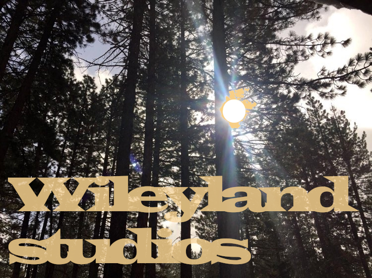 Wileyland Studios